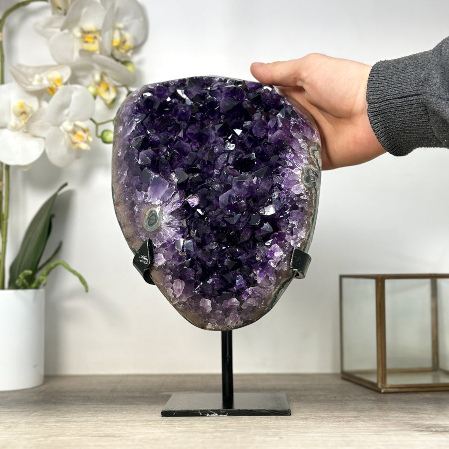Amethyst-Exemplar XL mit massiv gewachsener Kristallstruktur, in ausgewählter Spitzenqualität
