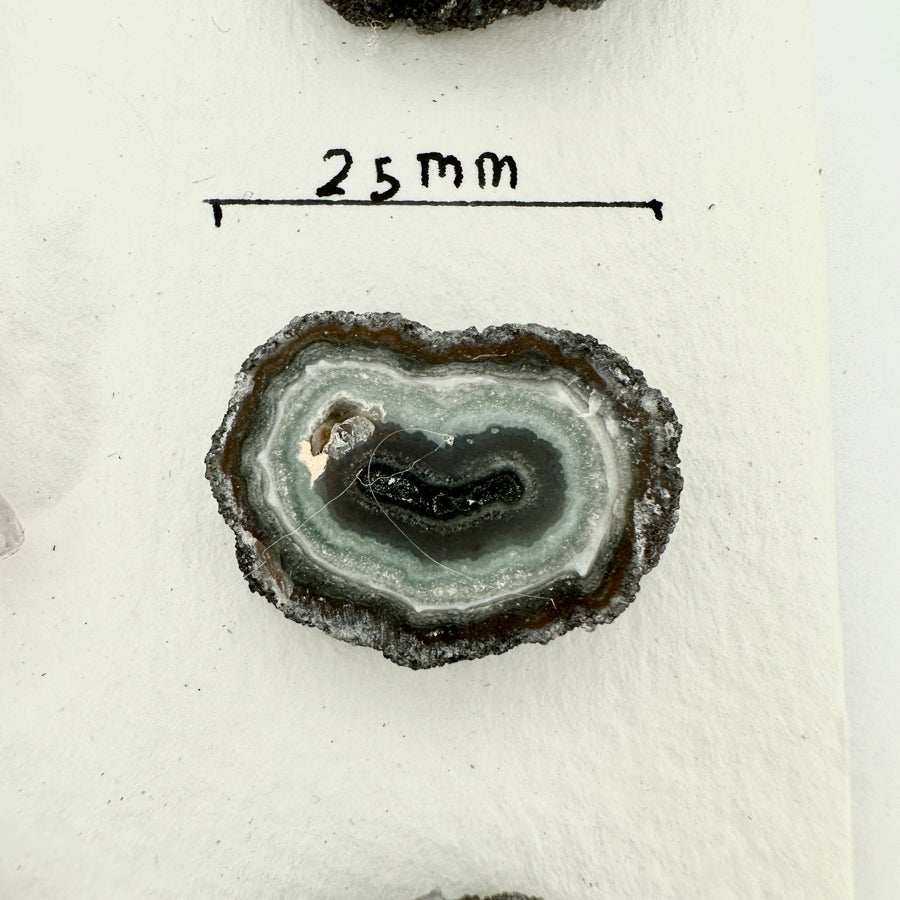 Amethyst-Quarz-Grünjaspis-Stalaktiten-Scheiben mit kontrastreicher Kristallbildung