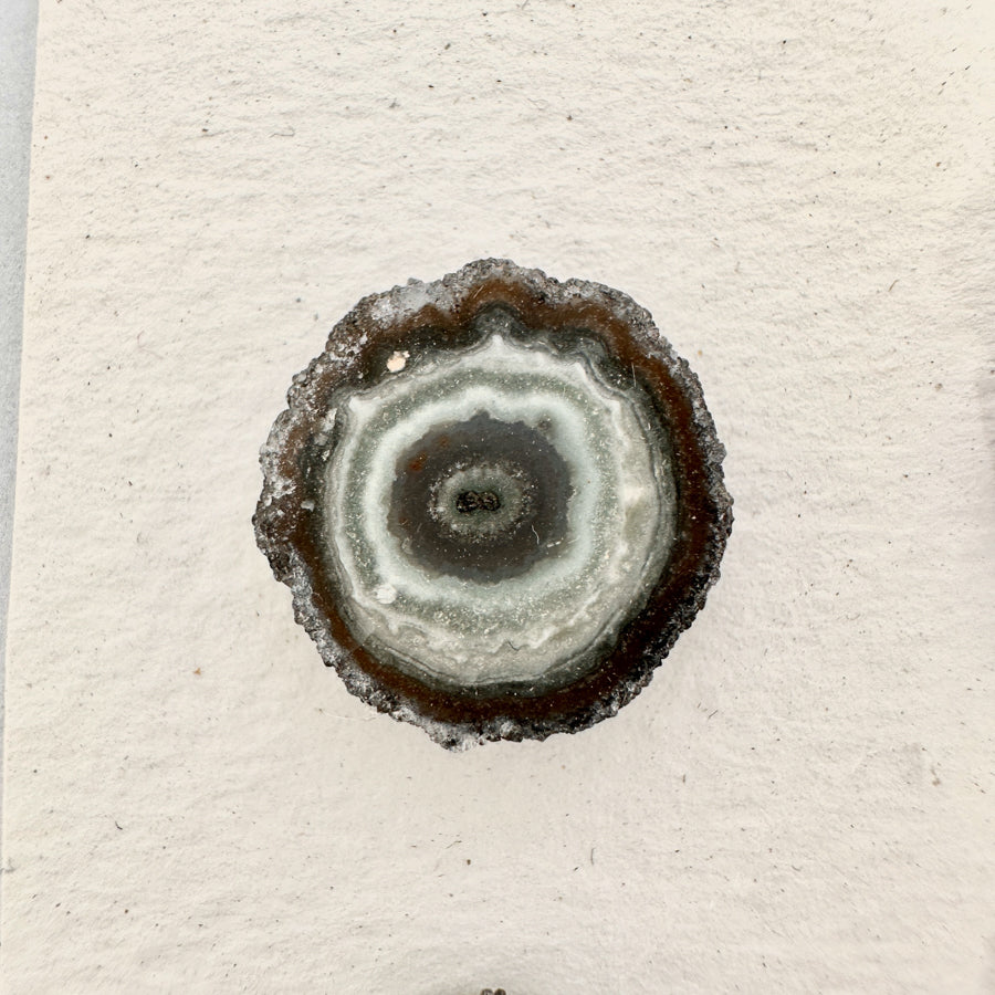 Amethyst-Stalaktiten-Scheiben mit radialer Kristallstruktur und violetter Farbzone