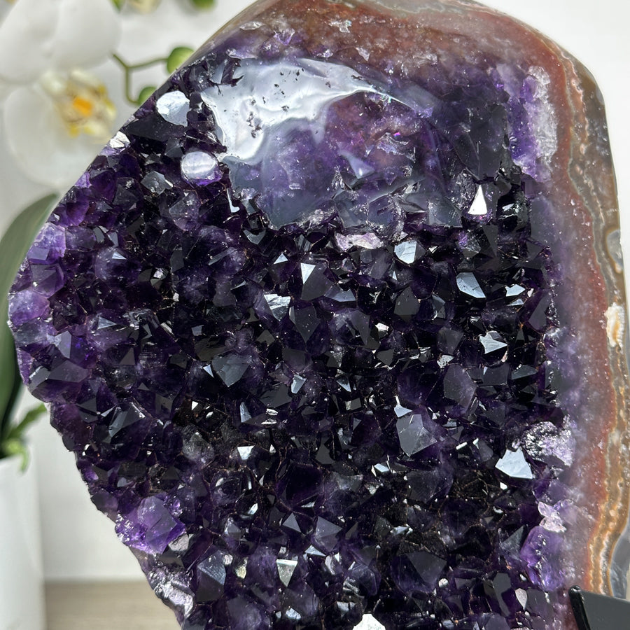 Amethyst-Cluster mit gebänderter Randstruktur, in ausgewählter Spitzenqualität