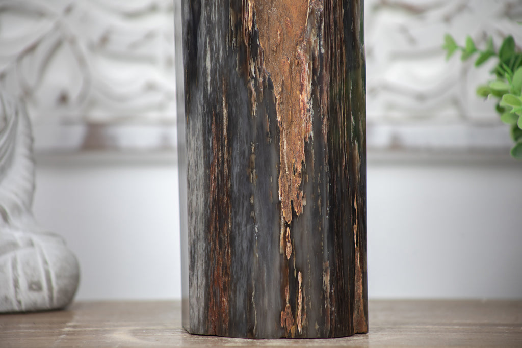 Stunning Large Petrified Wood Obelisk - TLSTP0042