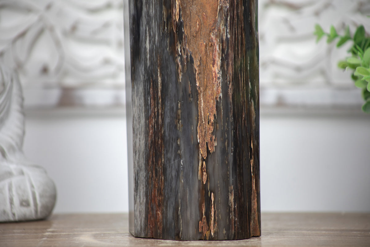 Stunning Large Petrified Wood Obelisk - TLSTP0042