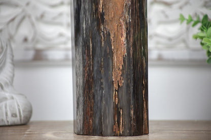 Stunning Large Petrified Wood Obelisk - TLSTP0042