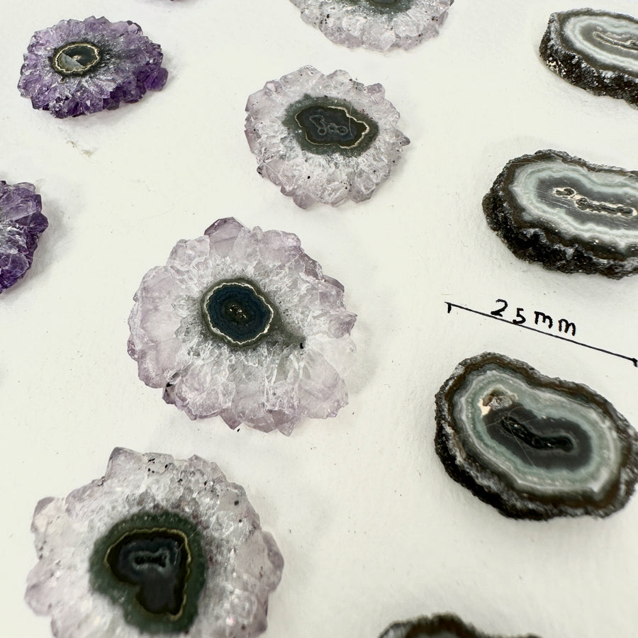 Amethyst-Quarz-Grünjaspis-Stalaktiten-Scheiben mit kontrastreicher Kristallbildung