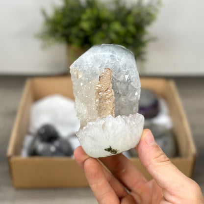 Mineralien-Ensemble mit klar definierter Struktur und kristalliner Oberfläche