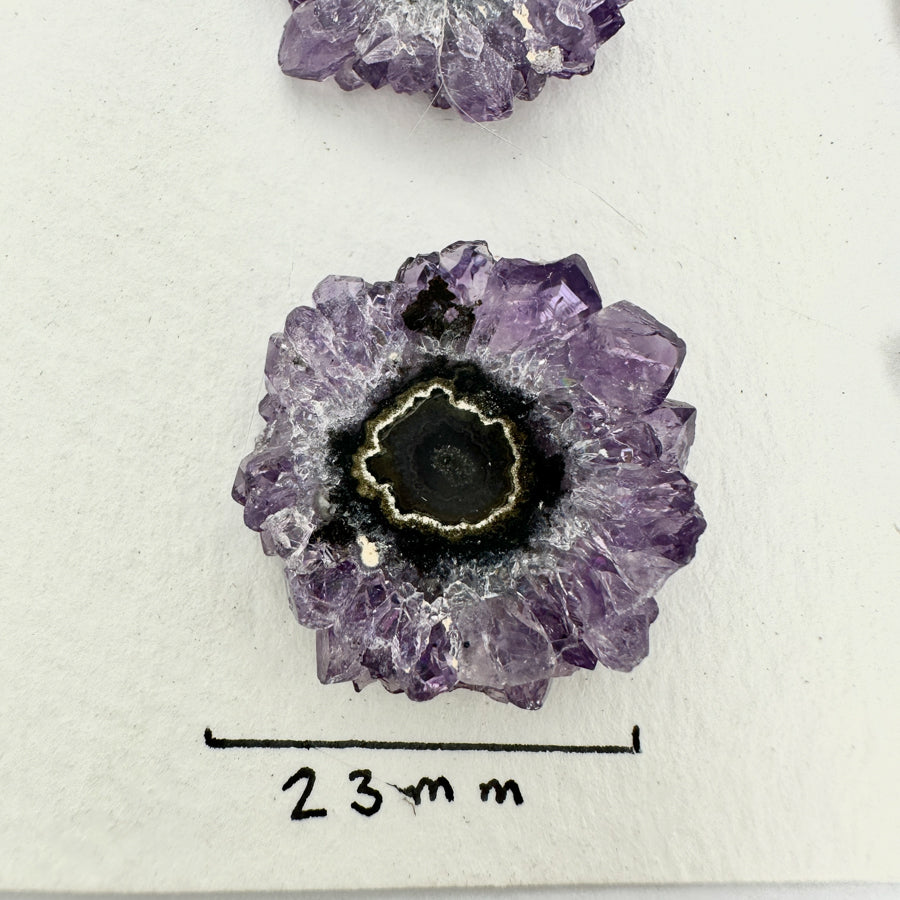 Amethyst-Quarz-Grünjaspis-Stalaktiten-Scheiben mit kontrastreicher Kristallbildung