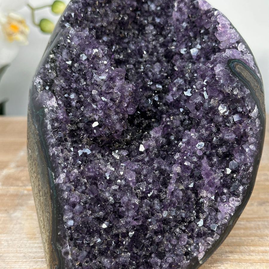 Amethyst-Druse mit weit geöffneter, violetter Kristallkammer