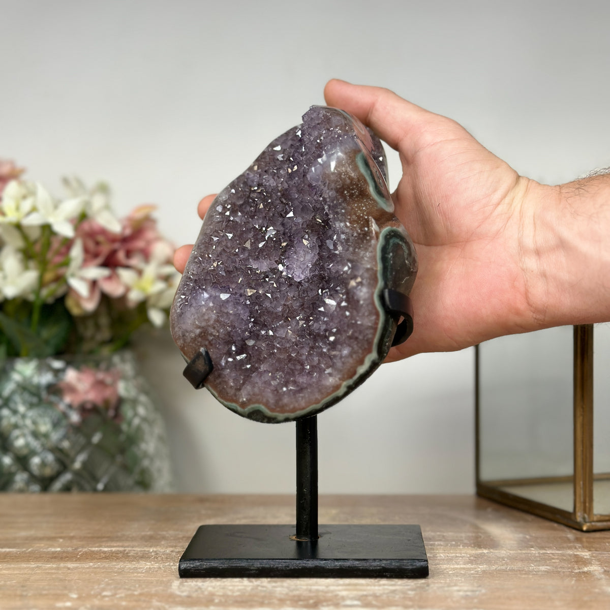 Amethyst-Cluster mit grün gebänderter Jaspisschale und kraftvoller Kristallstruktur, in hochwertiger Naturqualität
