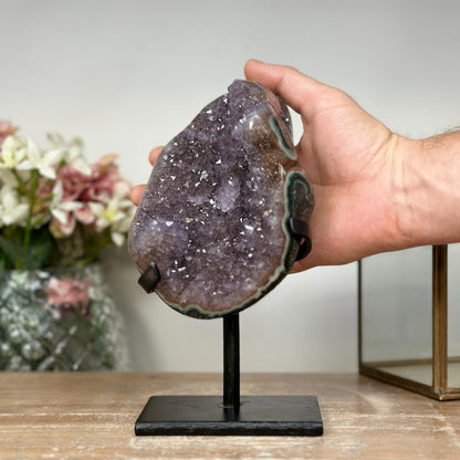 Amethyst-Cluster mit grün gebänderter Jaspisschale und kraftvoller Kristallstruktur, in hochwertiger Naturqualität