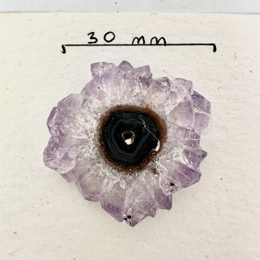 Amethyst-Achat-Stalaktiten-Scheiben mit konzentrischer Achat-Struktur