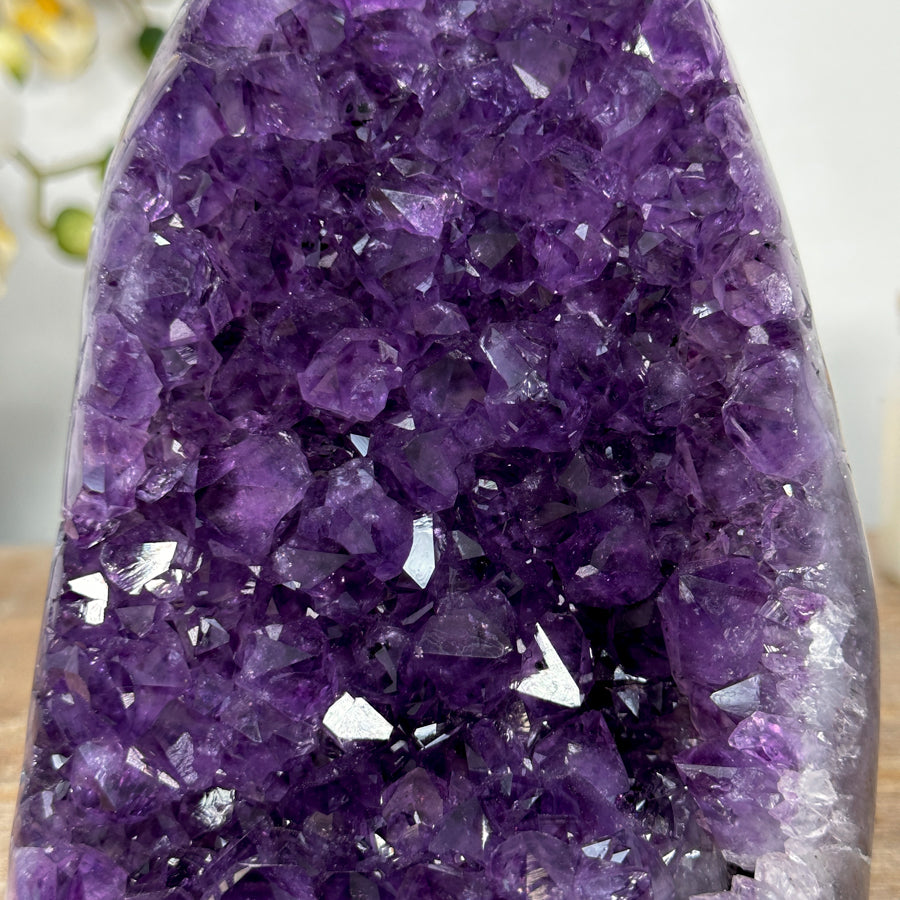 Amethyst-Kathedrale mit klar definierter Kristallkammer und polierten Randflächen