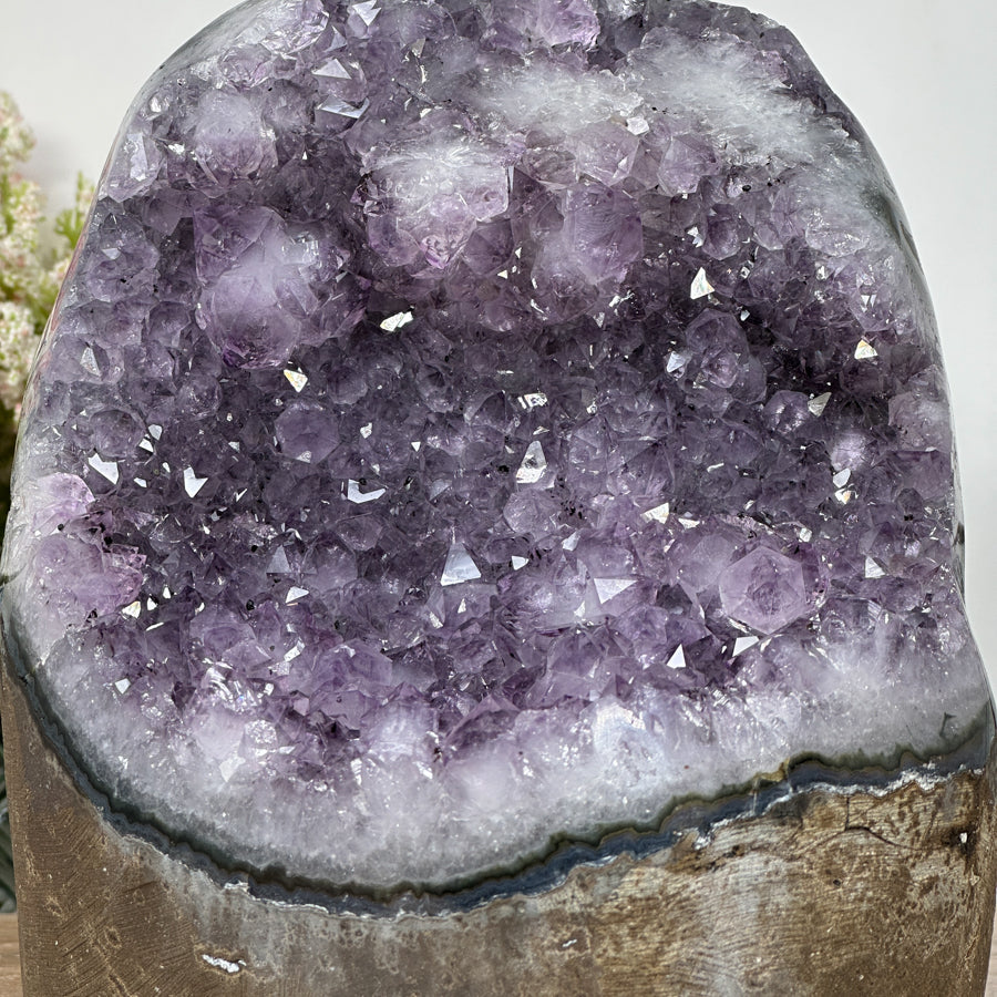 Amethyst-Kathedrale groß mit dicht gewachsener Kristallarchitektur