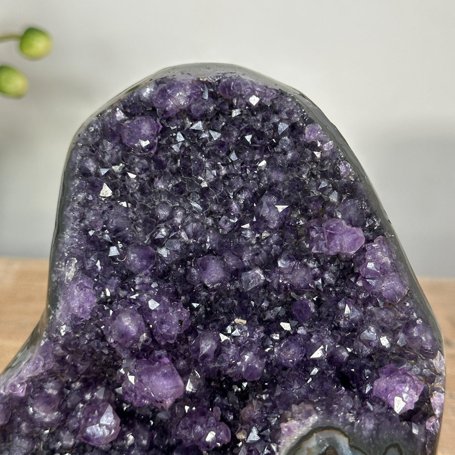 Amethyst-Druse mit tief ausgeprägter, architektonischer Kristallkammer