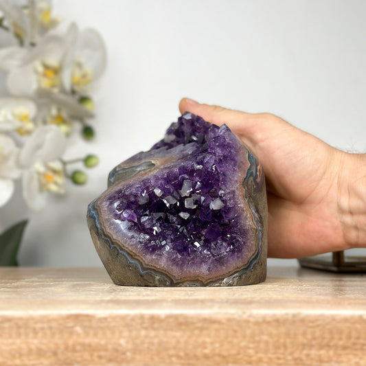 Amethyst-Geode mit polierter Randzone und kompakter Kristallstruktur