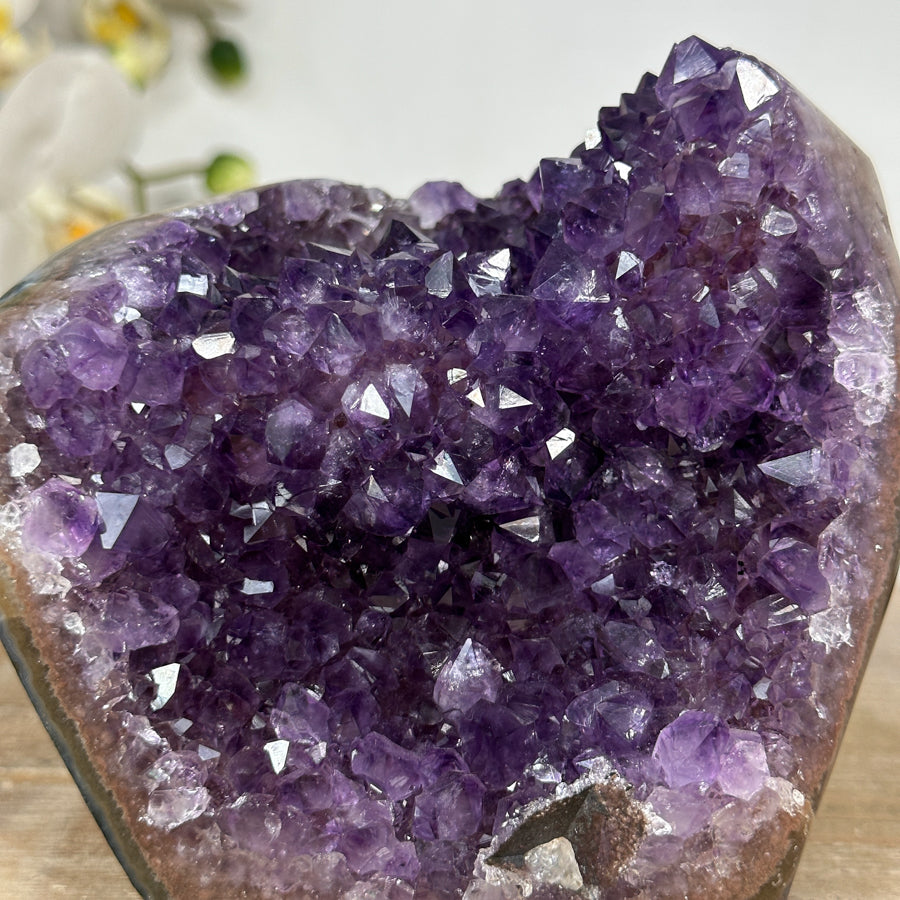 Amethyst-Cluster mit intensiv tiefvioletten Kristallspitzen und klarer Struktur