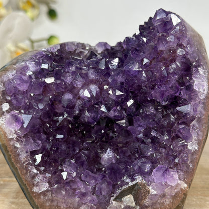 Amethyst-Cluster mit intensiv tiefvioletten Kristallspitzen und klarer Struktur