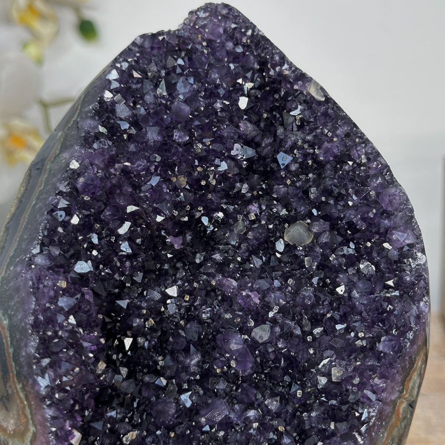 Amethyst-Geode mit tiefvioletter, gleichmäßig gewachsener Kristallstruktur