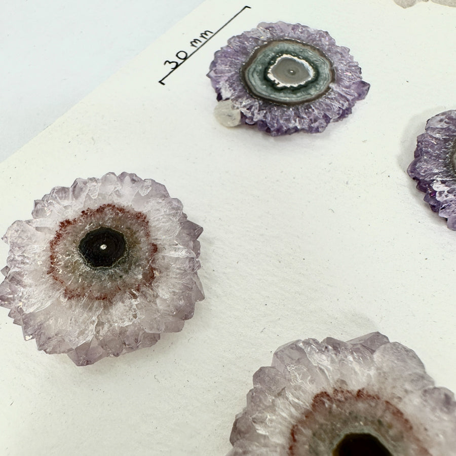 Amethyst-Quarz-Stalaktiten-Scheiben mit klarer Kristallbänderung