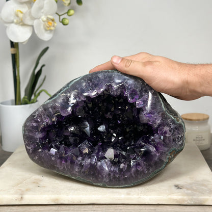 Amethyst-Geode mit ausdrucksstarker Kristallstruktur, in exklusiver Premiumqualität