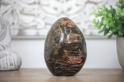 Versteinertes-Holz-Stein-Ei mit markanter fossiler Holzstruktur