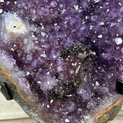 Amethyst-Geode XXL mit einzigartigen Hämatit-Einschlüssen