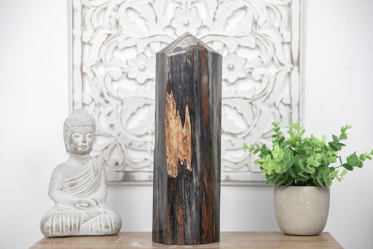 Stunning Large Petrified Wood Obelisk - TLSTP0042