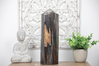 Stunning Large Petrified Wood Obelisk - TLSTP0042