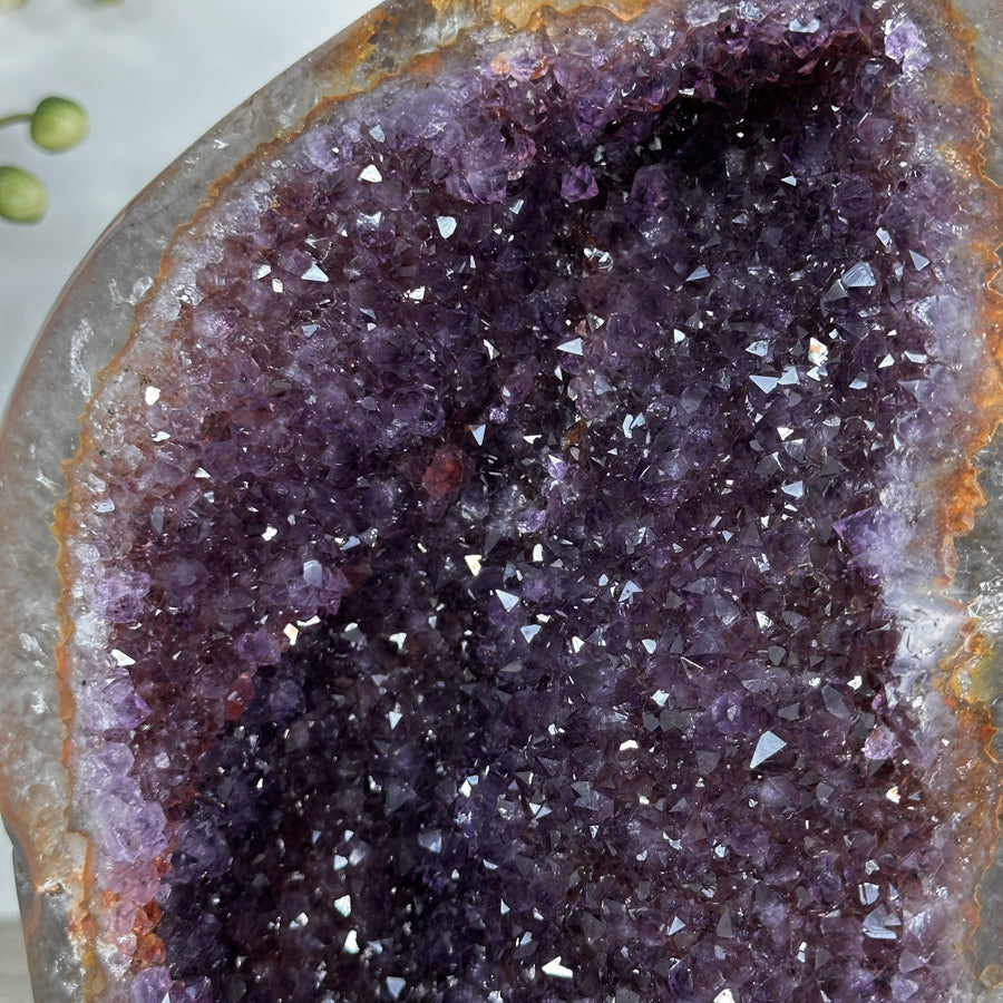Amethyst-Geode mit klar definierter Kristallkammer
