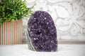 Amethyst-Druse mit tiefvioletter Kristallzone und grüner Jaspis-Matrix