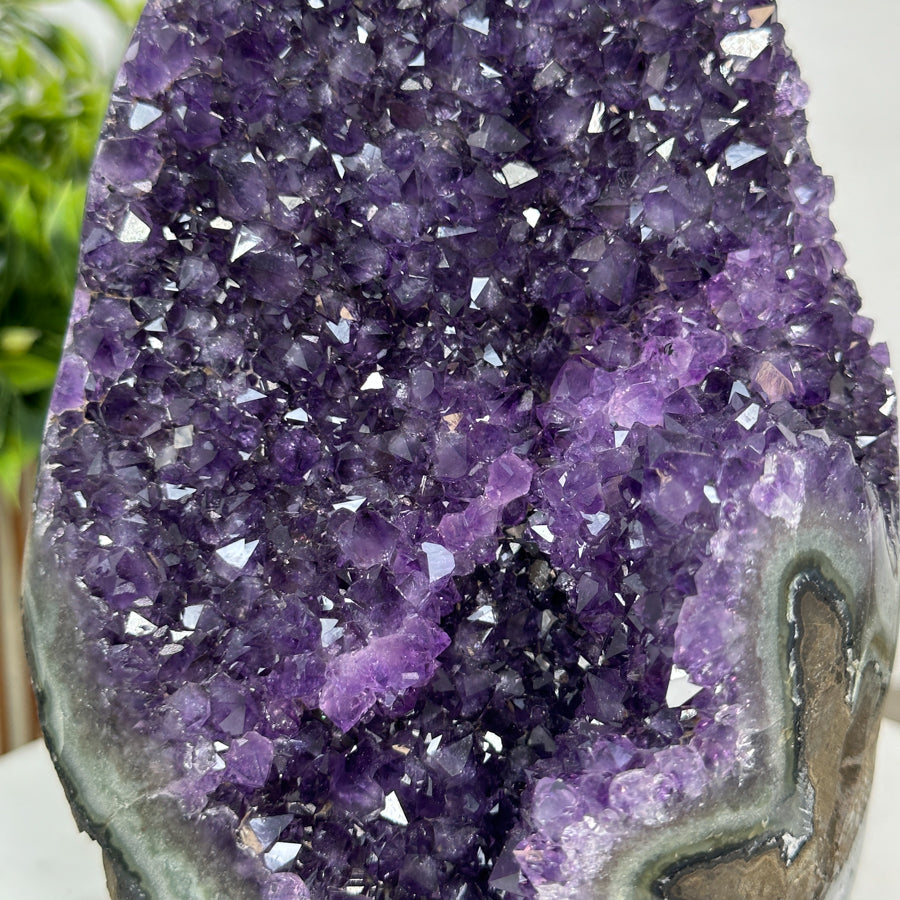 Amethyst-Geodencluster mit intensiv ausgeprägter Kristallstruktur