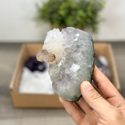 Mineralien-Ensemble mit klarer Kristallstruktur und homogener Ausbildung