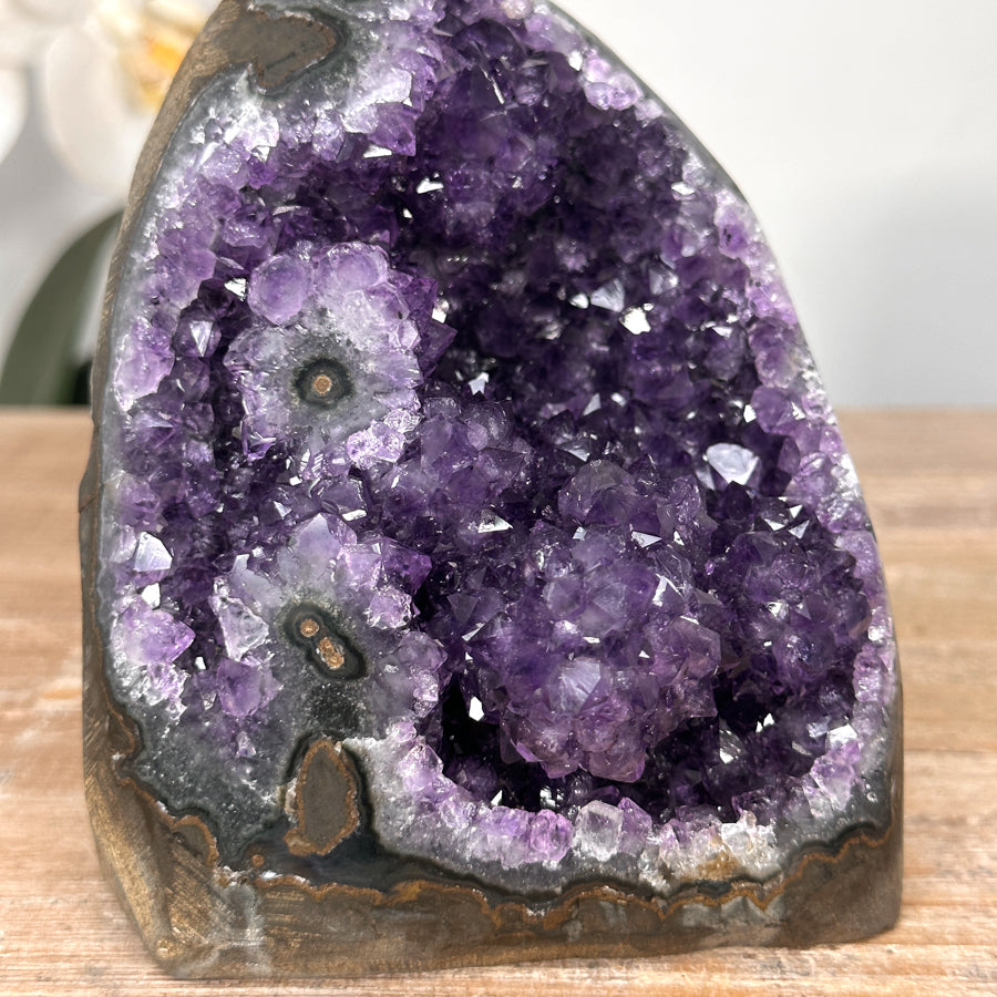 Amethyst-Druse mit stalaktitischer Kristallstruktur und tropfsteinartiger Innenarchitektur