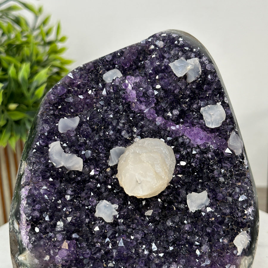 Amethyst-Geode mit kompakt gewachsener Kristallstruktur