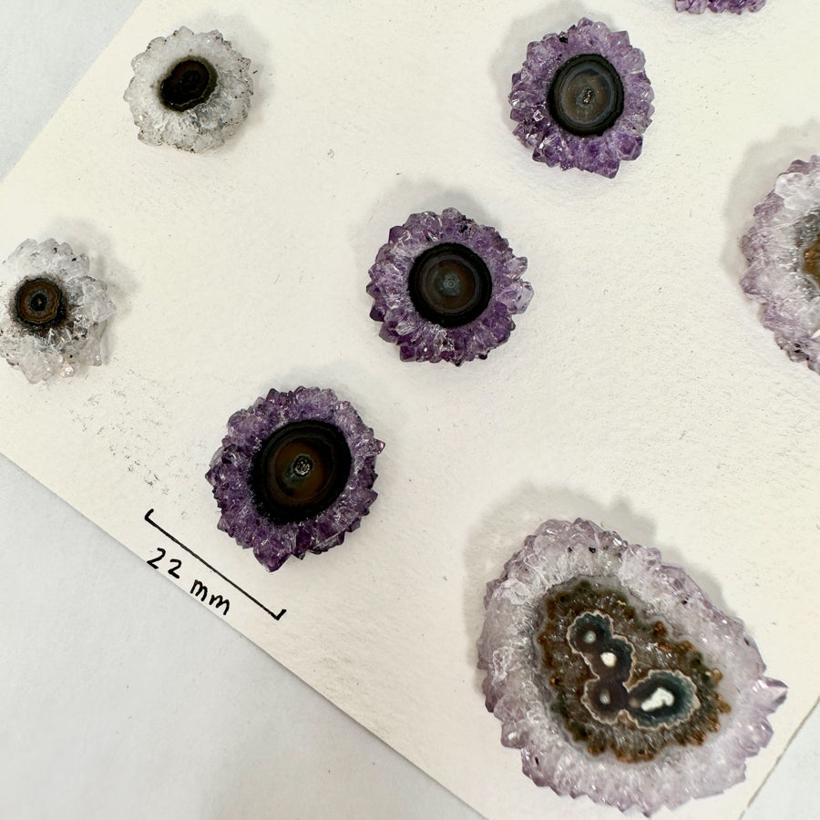 Amethyst-Stalaktiten-Scheiben mit konzentrischer Kristallstruktur