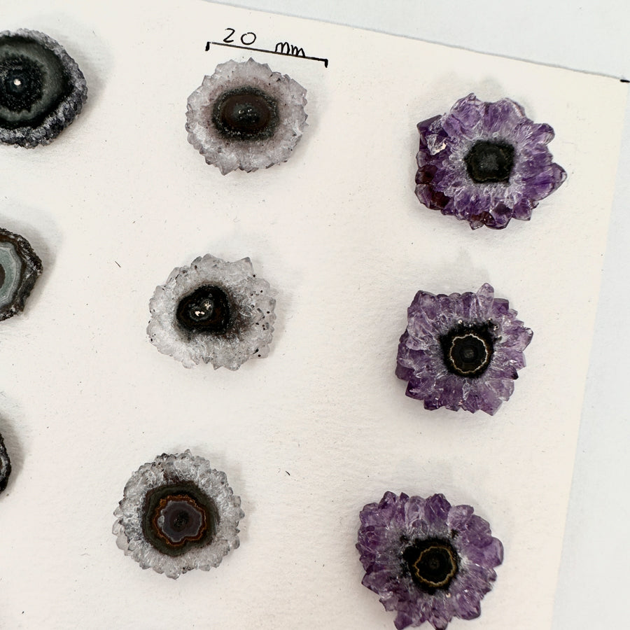 Amethyst-Grünjaspis-Stalaktiten-Scheiben mit kontrastreicher Kristallstruktur