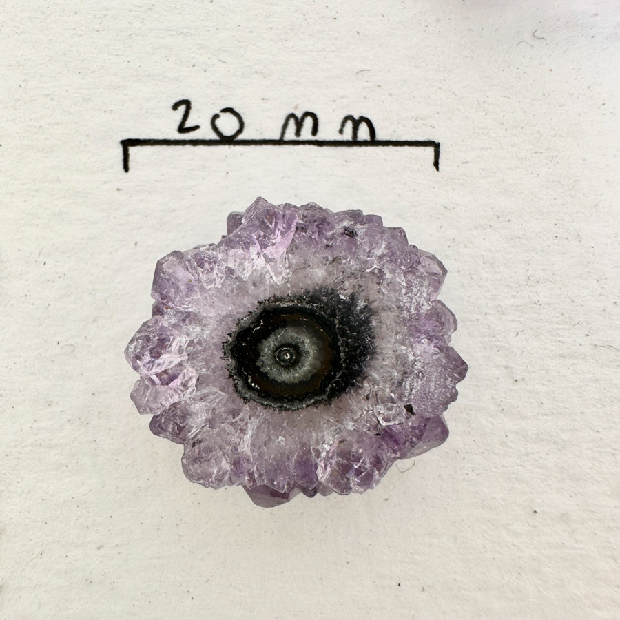 Amethyst-Achat-Stalaktiten-Scheiben mit konzentrischer Achat-Struktur