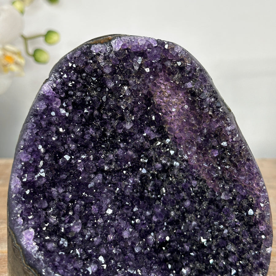 Amethyst-Druse mit tiefvioletter Kristallstruktur und prägnanter Kristallausbildung