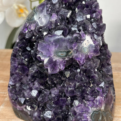 Amethyst-Druse mit intensiv tiefvioletter Kristallstruktur