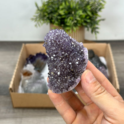 Mineralien-Ensemble mit klarer Kristallstruktur und homogener Ausbildung