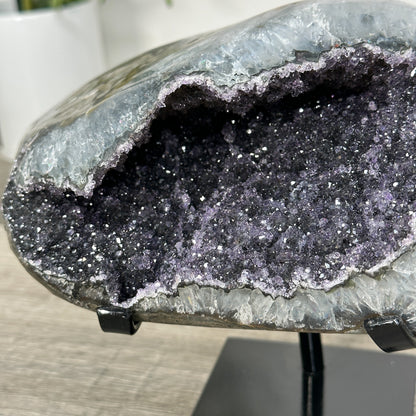 Amethyst-Druzy-Geode mit gleichmäßiger Kristallstruktur