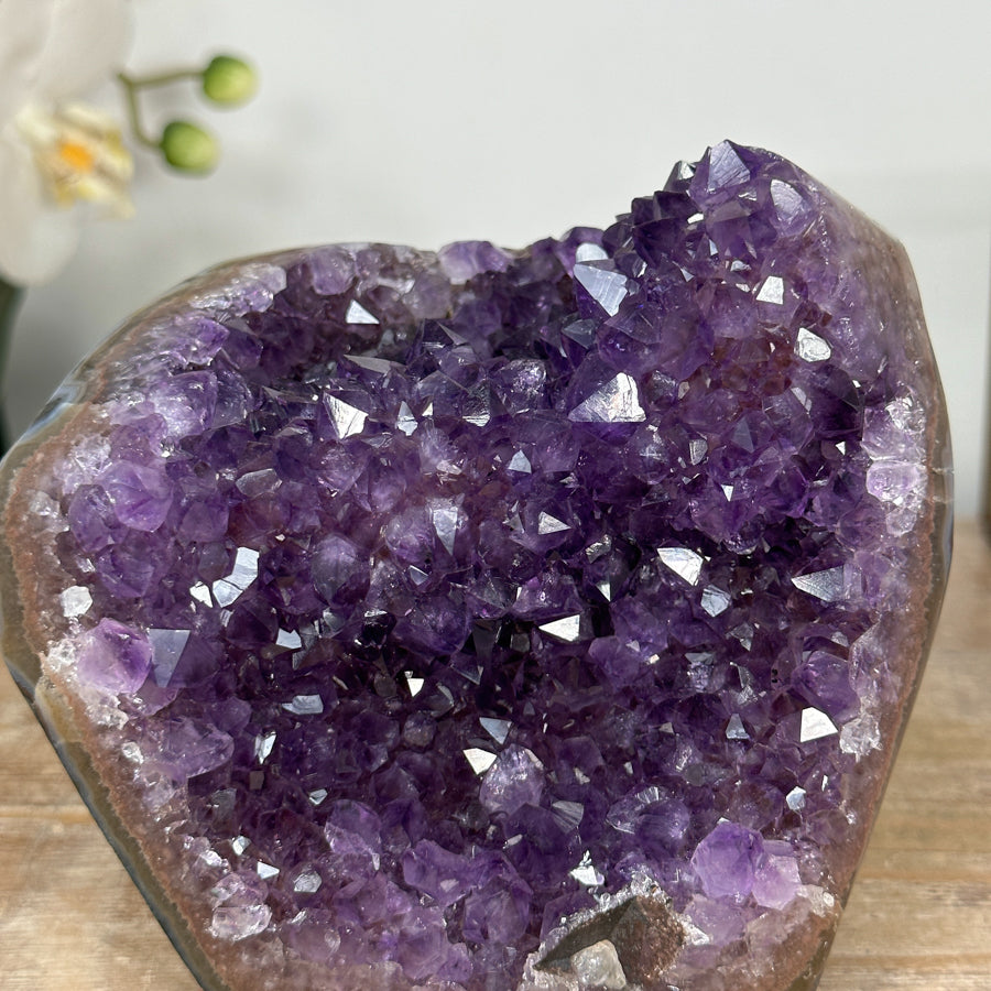 Amethyst-Cluster mit intensiv tiefvioletten Kristallspitzen und klarer Struktur