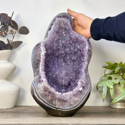 Amethyst-Geode XXL mit massiver raumprägender Präsenz