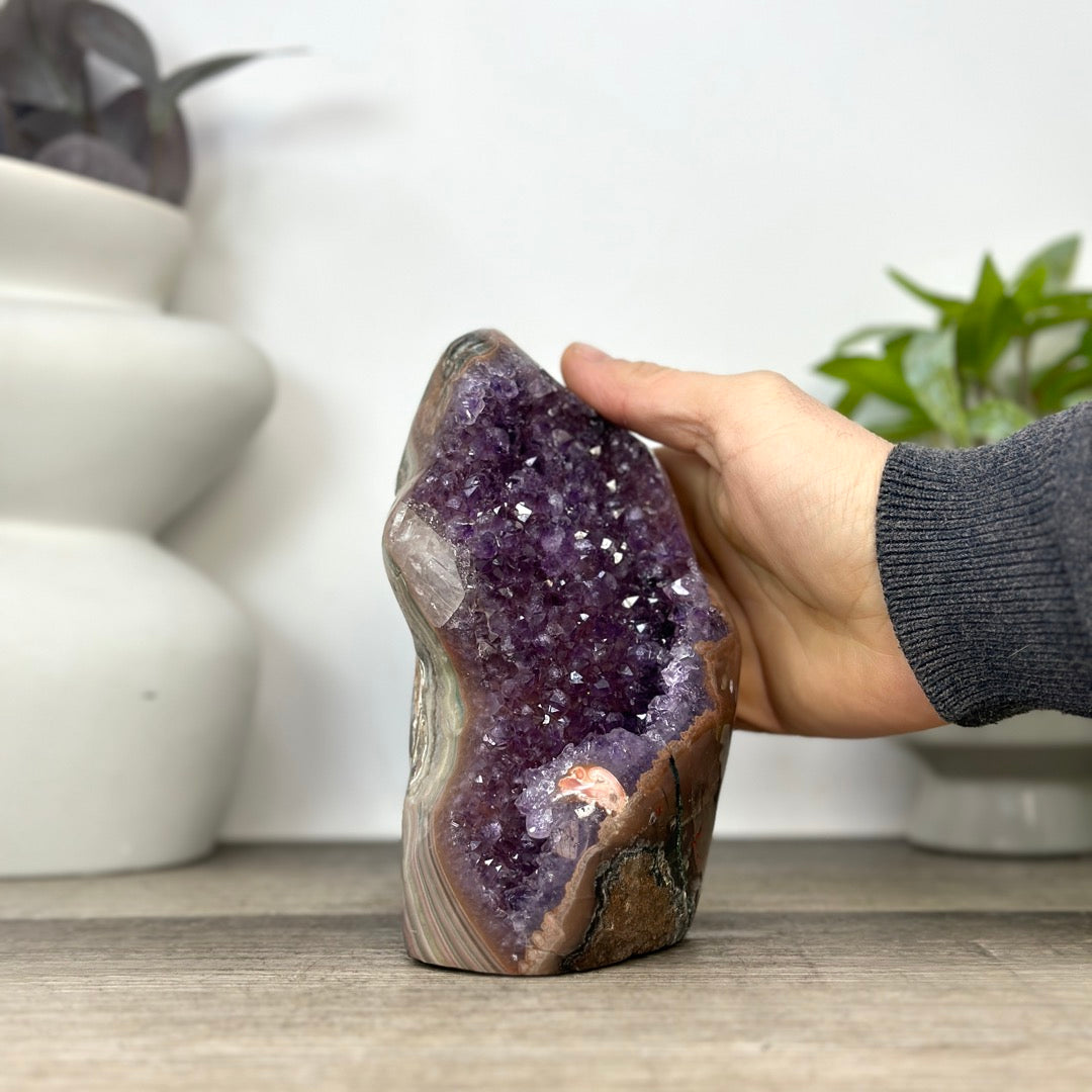 Amethyst-Geode in Sammlerqualität mit Kalzitformation und grüner Jaspis Schale