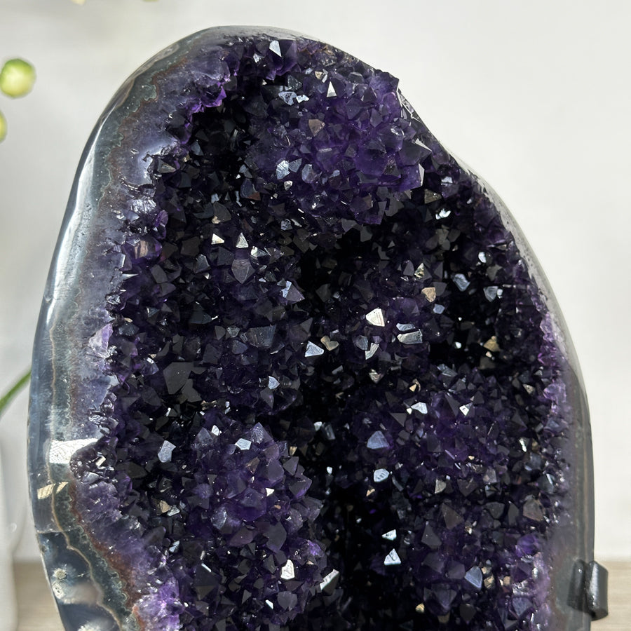 Amethyst-Geode mit purpurner, klar definierter Kristallhöhle