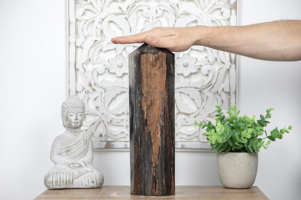Stunning Large Petrified Wood Obelisk - TLSTP0042