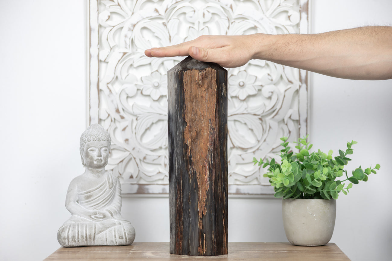 Stunning Large Petrified Wood Obelisk - TLSTP0042