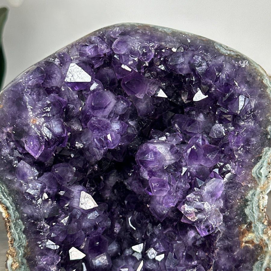 Amethyst-Cluster mit intensiv purpurner Tiefenwirkung, in exklusiver Premiumqualität