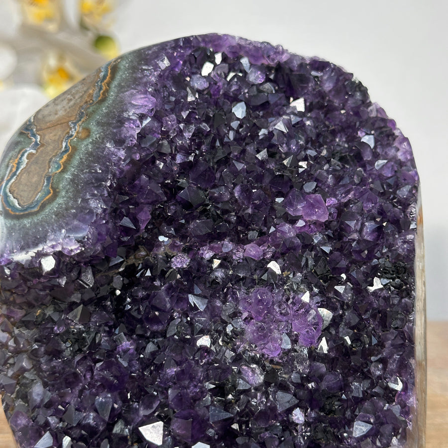 Amethyst-Druse mit violetter Kristallstruktur und grüner Jaspis-Matrix