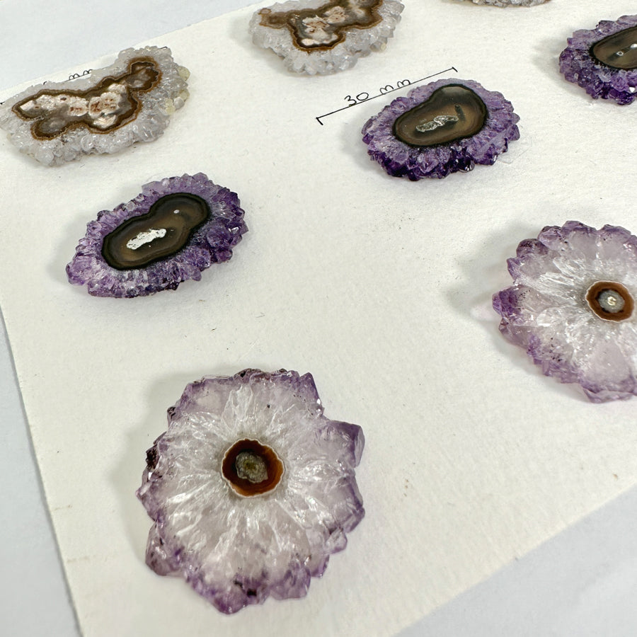 Amethyst-Quarz-Stalaktiten-Scheiben mit radialer Kristallstruktur