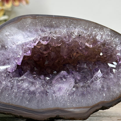 Amethyst-Achat-Geode mit ausgewogener, klarer Struktur